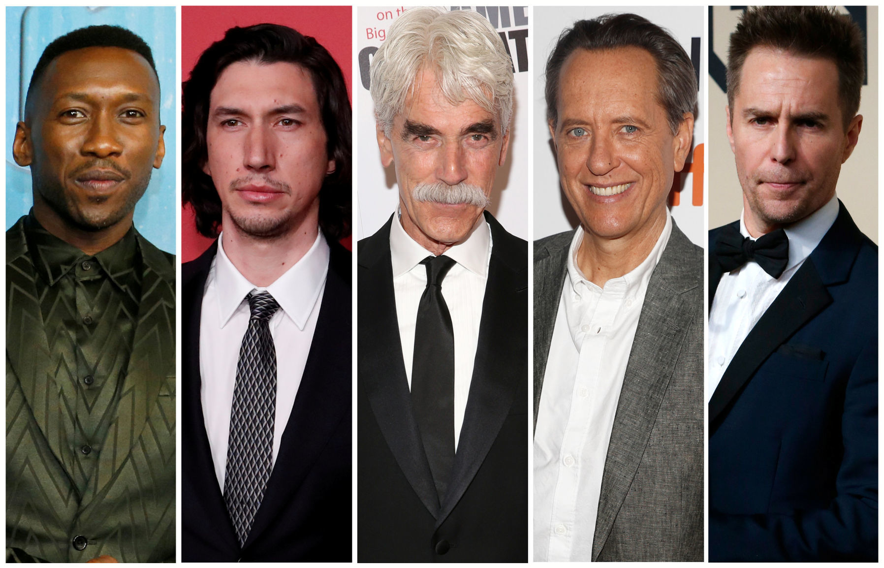 Best supporting actor Oscar nominees for the 91st annual Academy Awards (L-R) Ali, Driver, Elliott, Grant and Rockwell are seen in a combination of file photos